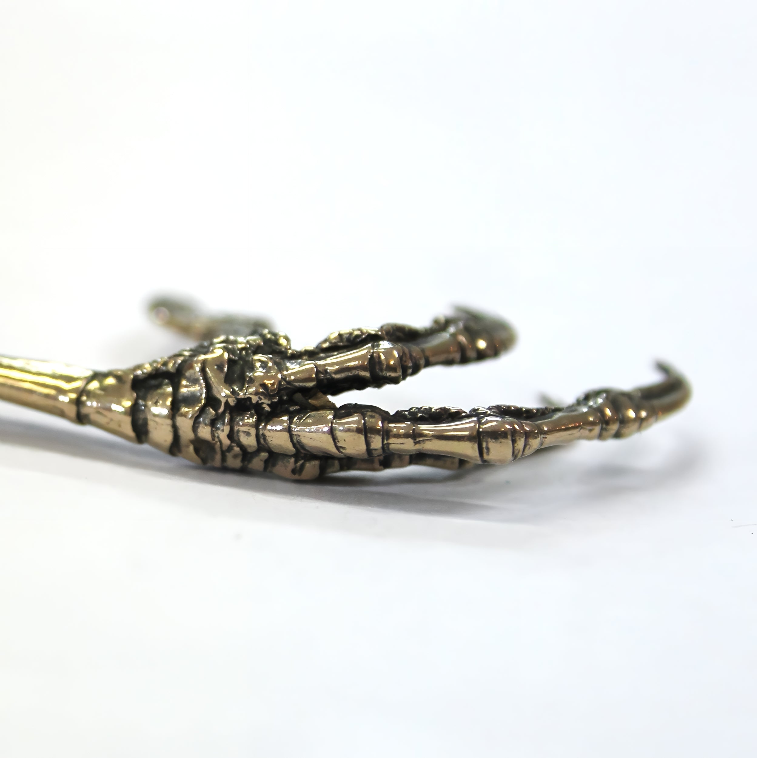 Raven Claw Necklace Crow Claw Necklace Bird Claw Pendant Necklace - Moon Raven Designs