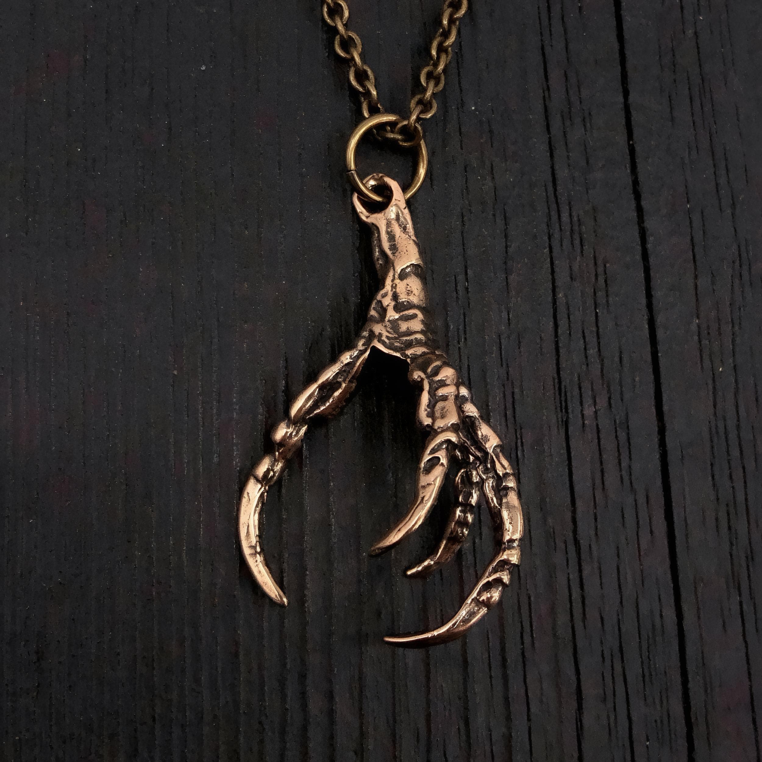 Raven Claw Necklace Crow Claw Necklace Bird Claw Pendant Necklace - Moon Raven Designs